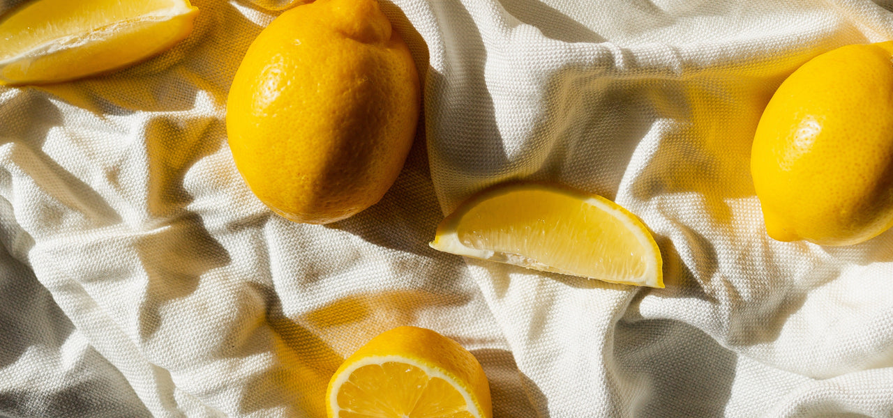 De partners van Vandyck