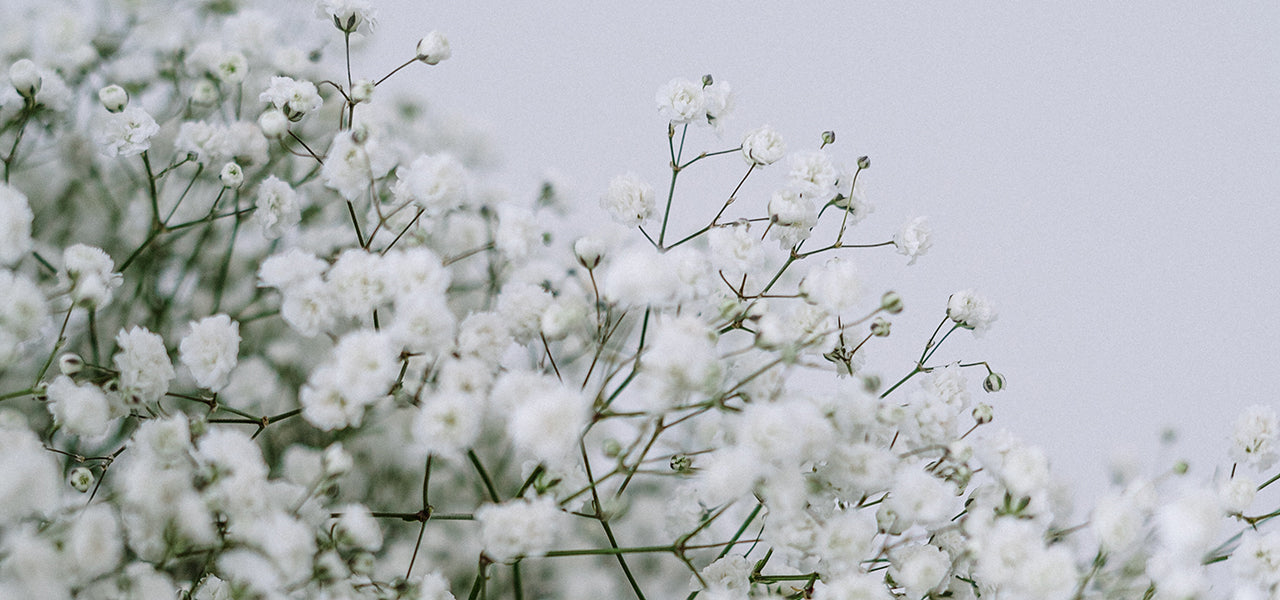 Alles over GOTS katoen