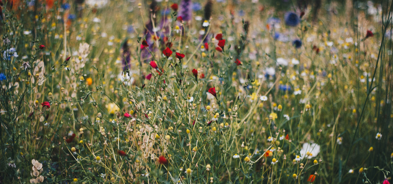 Keurmerken en labels