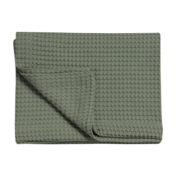 HOME PIQUE | earth green HOME PIQUE | earth green