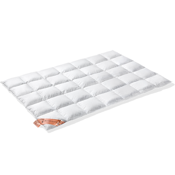 EXCELLENT dekbed | EXCELLENT 650 EXCELLENT dekbed | EXCELLENT 650