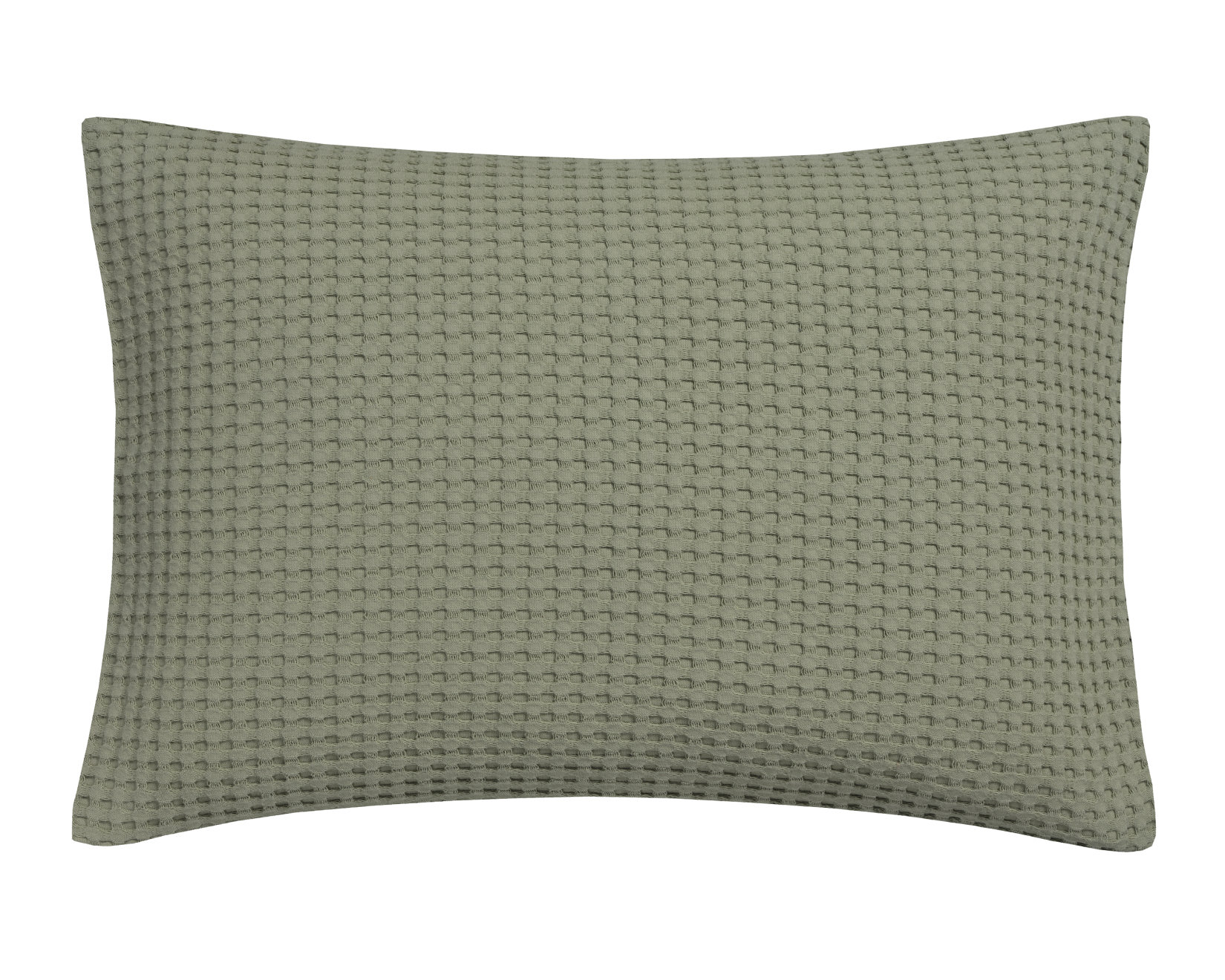 HOME PIQUE | light olive