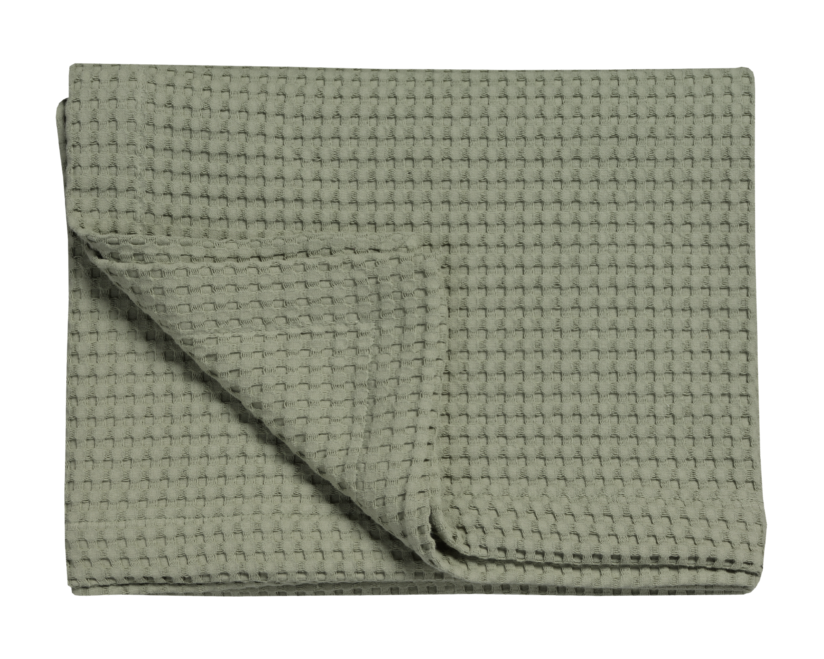 HOME PIQUE | light olive
