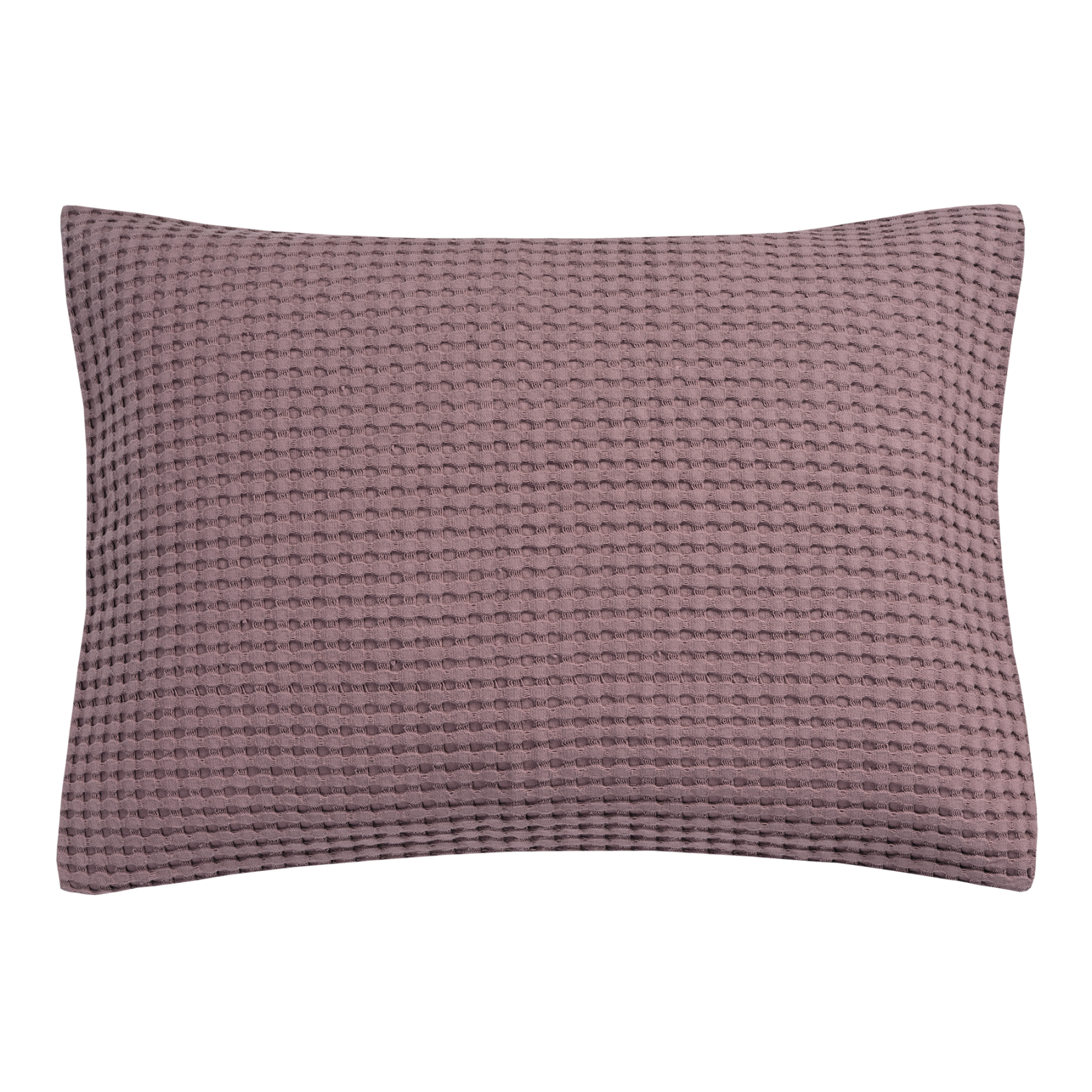HOME PIQUE | moonscape