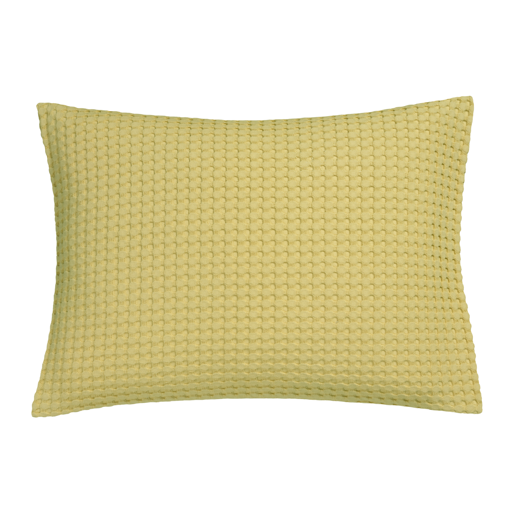 HOME PIQUE | sunlight