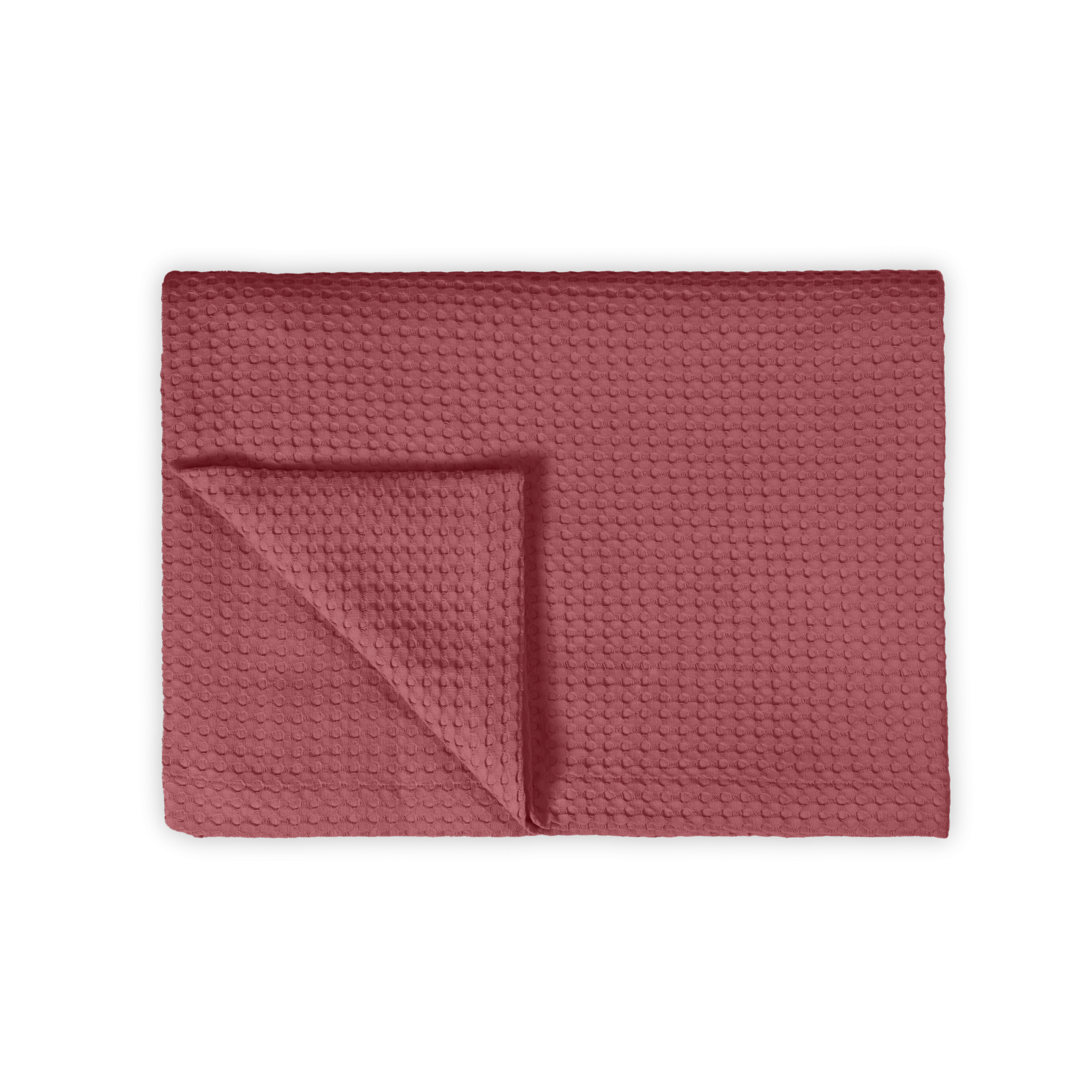 HOME PIQUE | wild rose