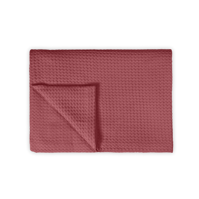 HOME PIQUE | wild rose