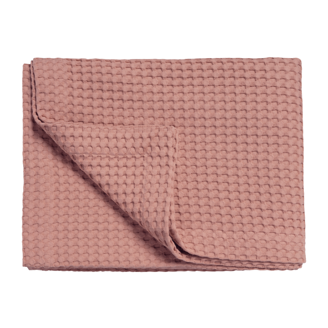 HOME PIQUE | ash rose