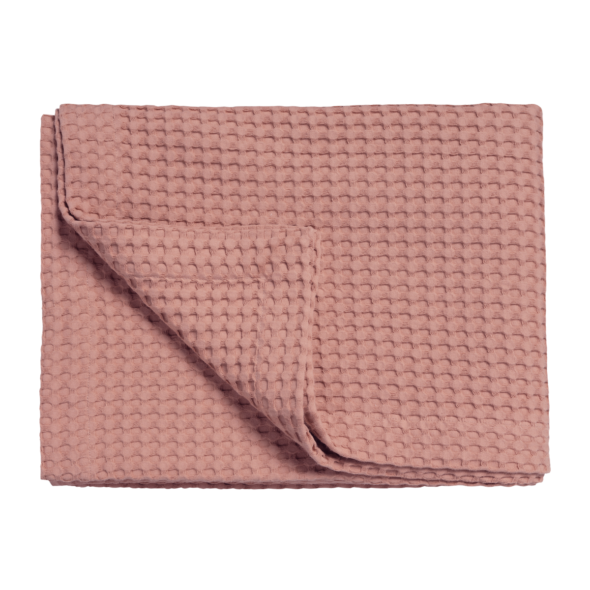 HOME PIQUE | ash rose