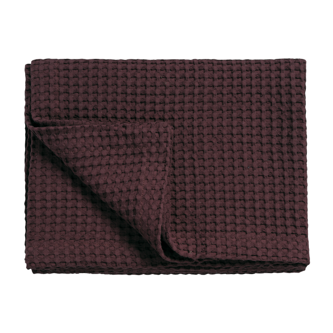 HOME PIQUE | winetasting